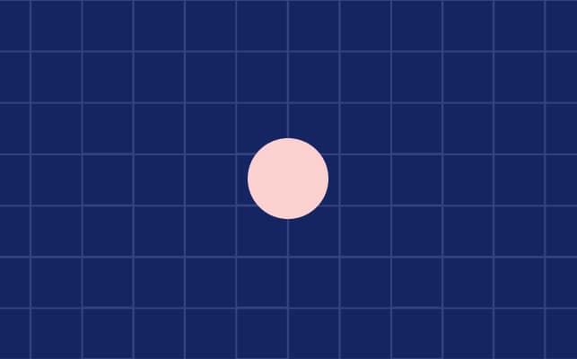 WEBNARS Human Anatomy + Rehab Class 6